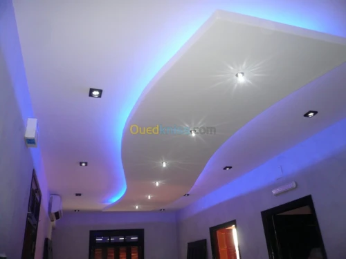 PLACOPLATRE - FAUX PLAFOND-PARQUET. PVC
