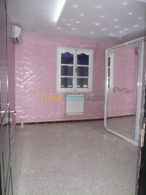 PLACOPLATRE - FAUX PLAFOND-PARQUET. PVC