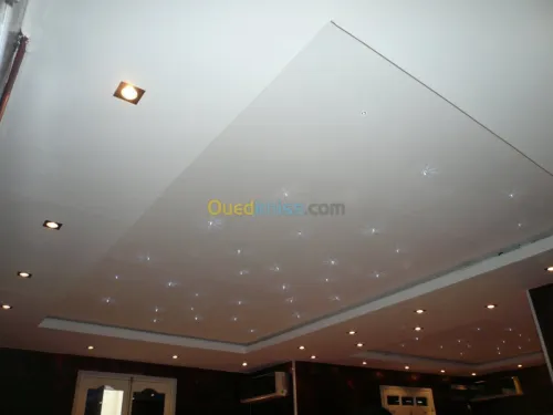 PLACOPLATRE - FAUX PLAFOND-PARQUET. PVC