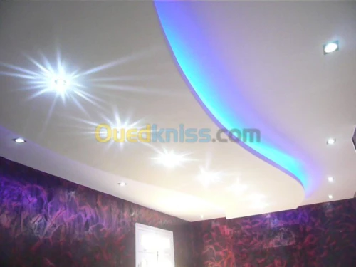PLACOPLATRE - FAUX PLAFOND-PARQUET. PVC
