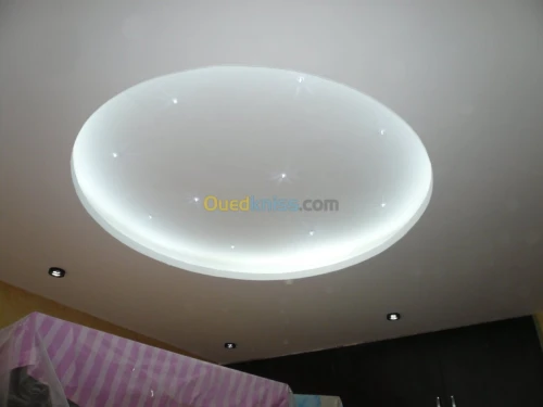 PLACOPLATRE - FAUX PLAFOND-PARQUET. PVC