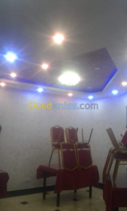 PLACOPLATRE - FAUX PLAFOND-PARQUET. PVC