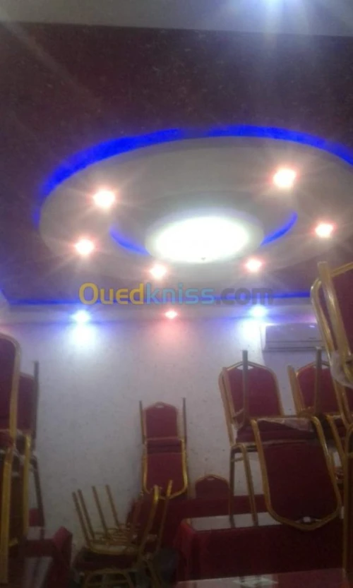 PLACOPLATRE - FAUX PLAFOND-PARQUET. PVC