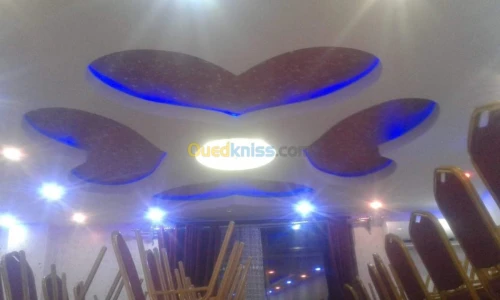PLACOPLATRE - FAUX PLAFOND-PARQUET. PVC