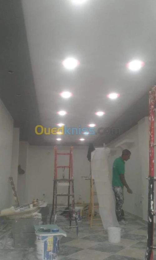 PLACOPLATRE - FAUX PLAFOND-PARQUET. PVC