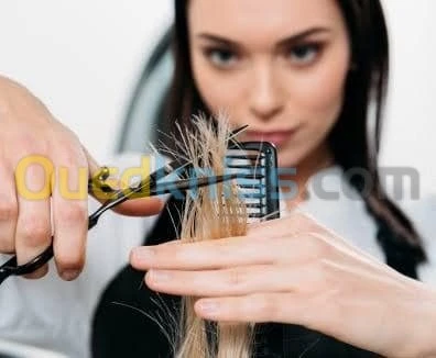 formations Esthetique 