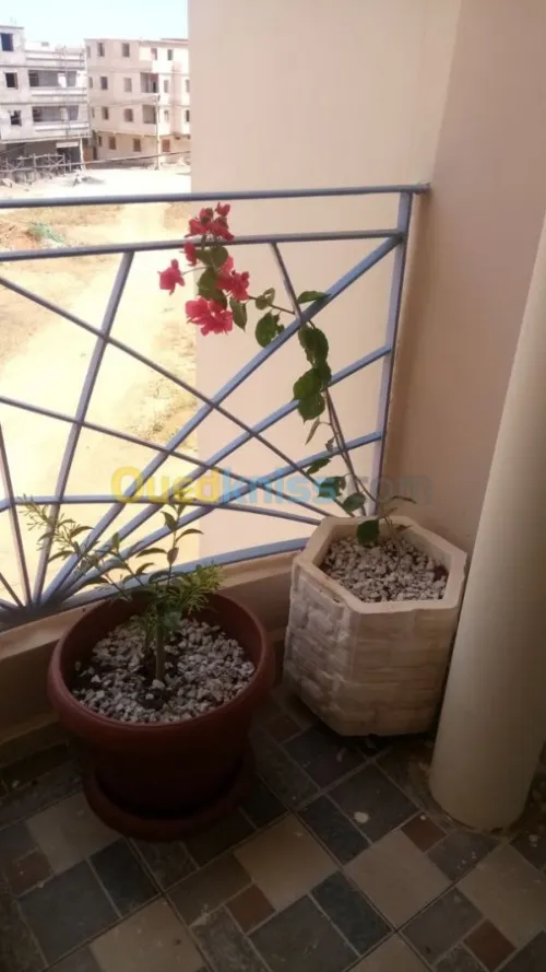 Vente Duplex F5 Tipaza Bou ismail