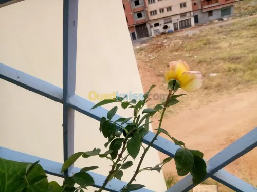 Vente Duplex F5 Tipaza Bou ismail