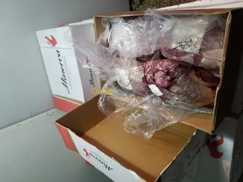 بيع اللحوم الحمراءمستوردة 