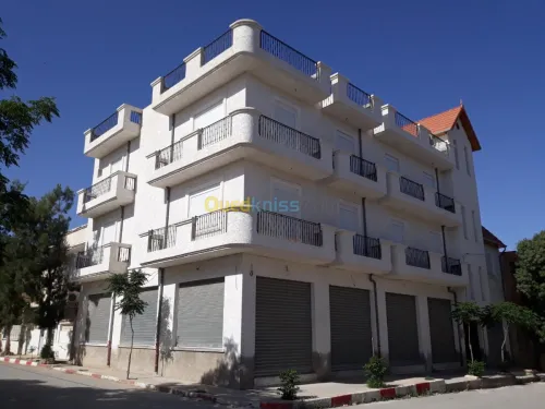 Facade Monocouche