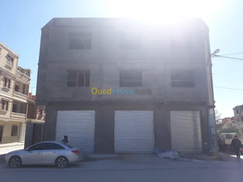 Facade Monocouche