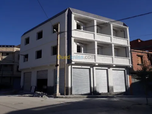 Facade Monocouche
