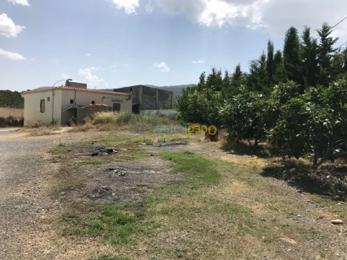 Location Hangar Khenchela Kais