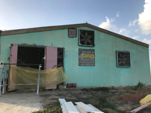 Location Hangar Khenchela Kais