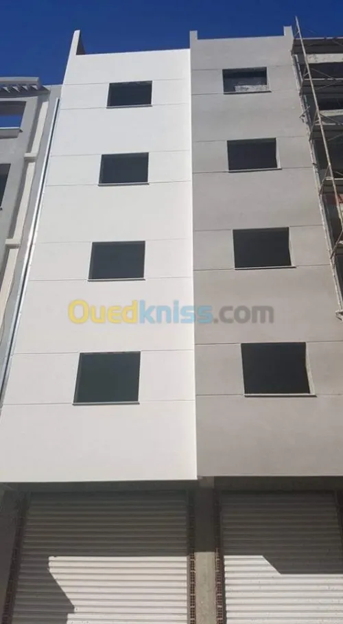 Revêtement de façade en monocouche 