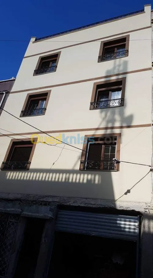 Revêtement de façade en monocouche 