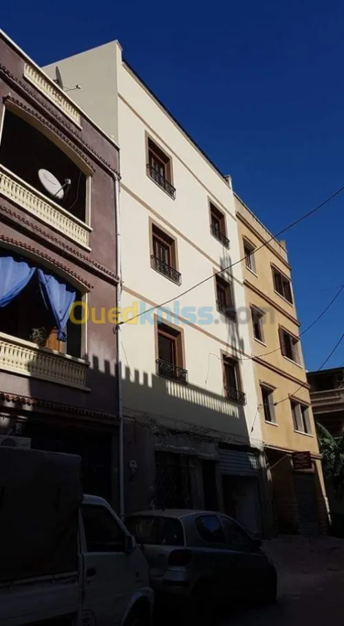 Revêtement de façade en monocouche 