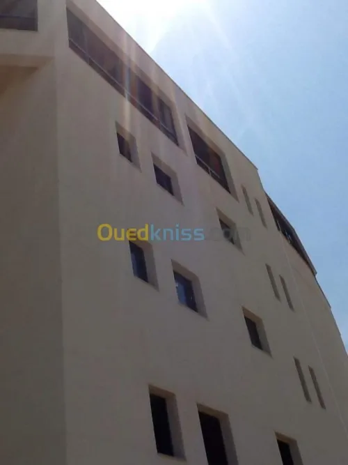 Revêtement de façade en monocouche 
