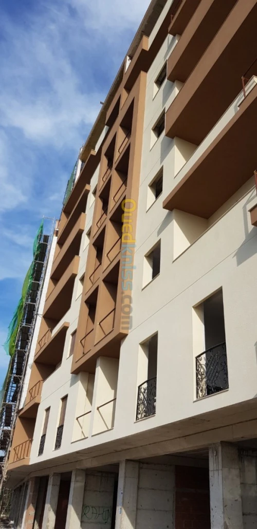 Revêtement de façade en monocouche 