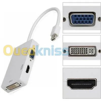 Câble DP Display Port Touts Type
