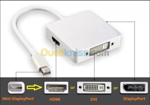 Câble DP Display Port Touts Type