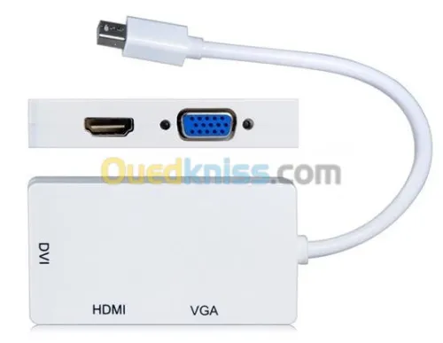 Câble DP Display Port Touts Type