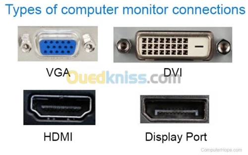 Câble DP Display Port Touts Type