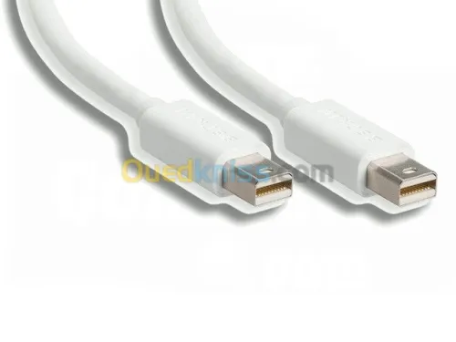 Câble DP Display Port Touts Type