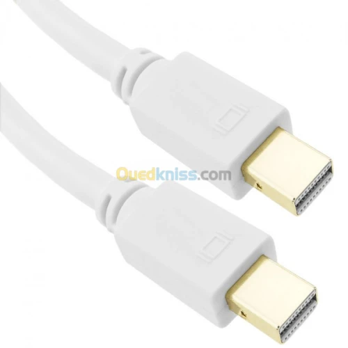 Câble DP Display Port Touts Type