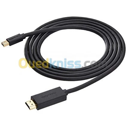 Câble DP Display Port Touts Type