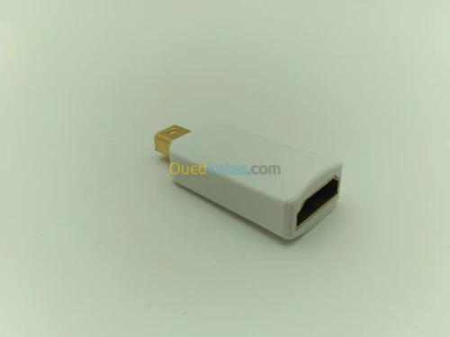 Câble DP Display Port Touts Type