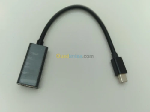 Câble DP Display Port Touts Type