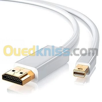 Câble DP Display Port Touts Type