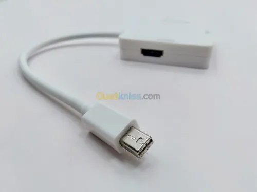 Câble DP Display Port Touts Type