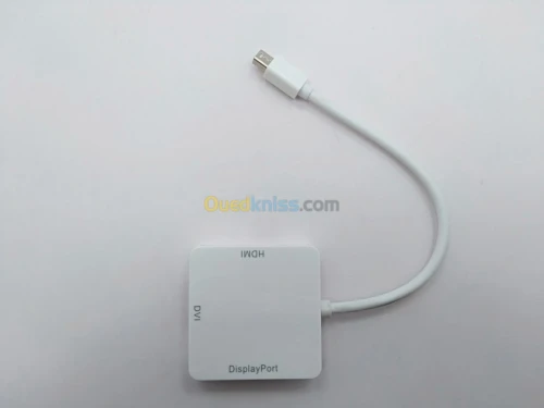 Câble DP Display Port Touts Type
