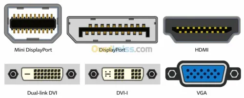 Câble DP Display Port Touts Type