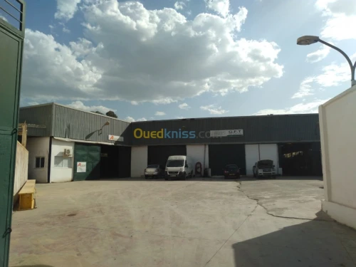 Location Hangar Alger Oued smar