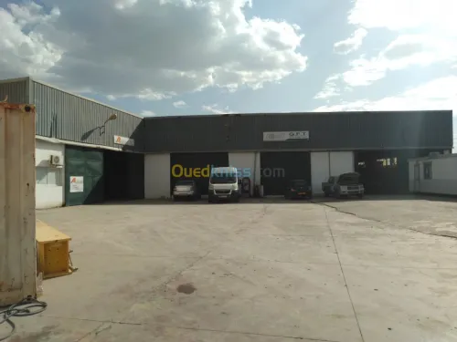 Location Hangar Alger Oued smar