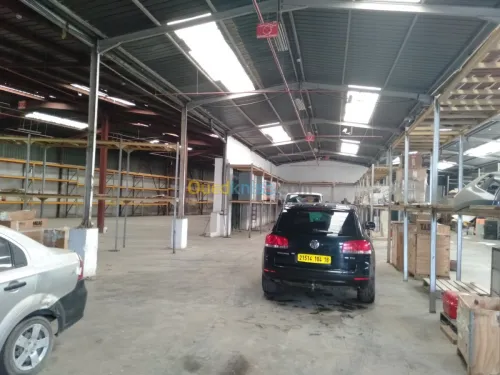 Location Hangar Alger Oued smar