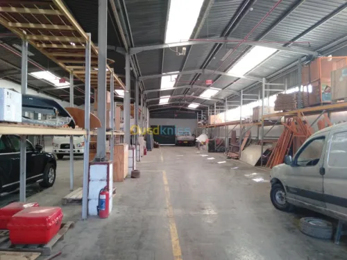 Location Hangar Alger Oued smar