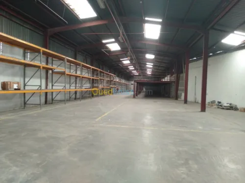 Location Hangar Alger Oued smar