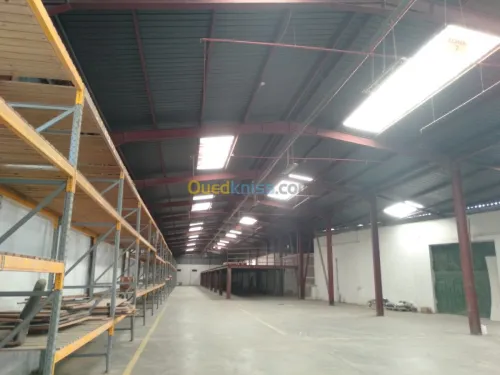 Location Hangar Alger Oued smar