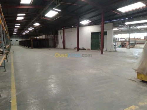 Location Hangar Alger Oued smar