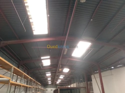 Location Hangar Alger Oued smar