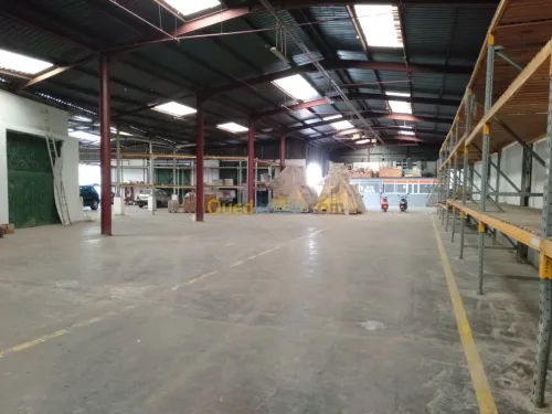 Location Hangar Alger Oued smar