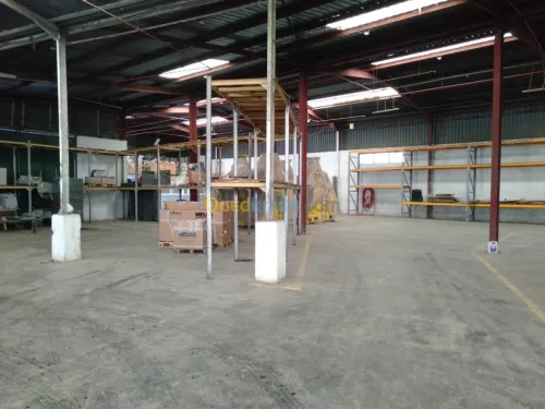 Location Hangar Alger Oued smar