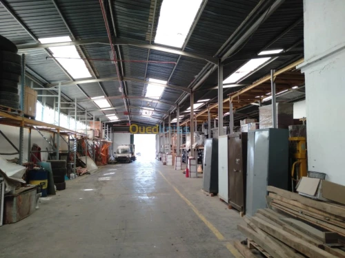 Location Hangar Alger Oued smar