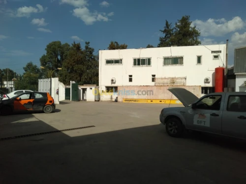 Location Hangar Alger Oued smar