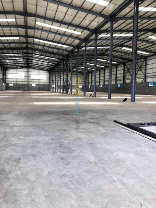 Location Hangar Boumerdes Khemis el khechna