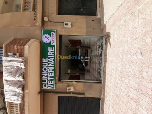 Veterinaire